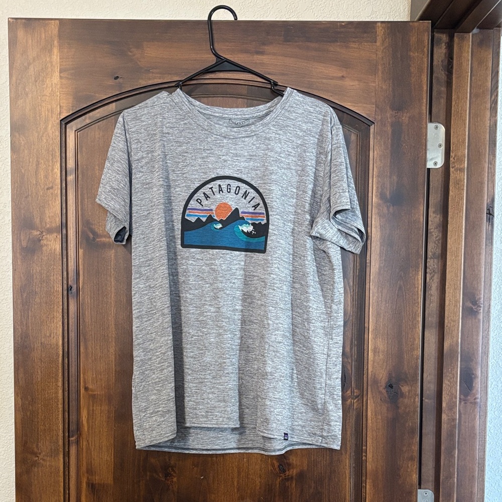 Patagonia Heather Gray Mountain Tee